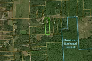 4196 W 4 Mile Rd, White Cloud, MI 49349 - Photo 65