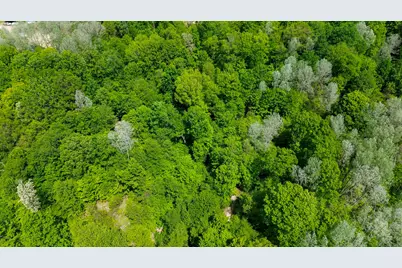 4196 W 4 Mile Road, White Cloud, MI 49349 - Photo 59