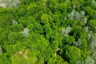 4196 W 4 Mile Rd, White Cloud, MI 49349 - Photo 59