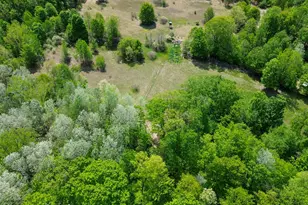 4196 W 4 Mile Rd, White Cloud, MI 49349 - Photo 55