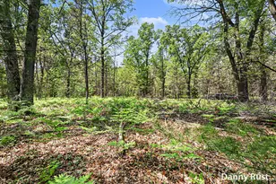 Vacant Land, Twin Lake, MI 49457 - Photo 1