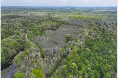 V/L 6.62A W Jefferson Road, Hart, MI 49420 - Photo 7