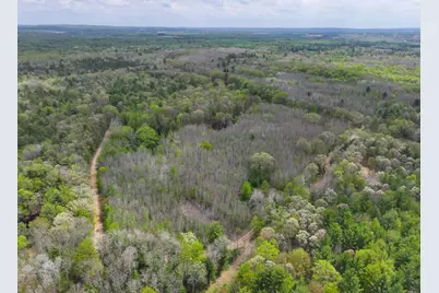 V/L 6.62A W Jefferson Road, Hart, MI 49420 - Photo 5