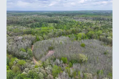 V/L 6.62A W Jefferson Road, Hart, MI 49420 - Photo 3