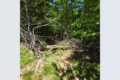 0 W Weaver Road #Parcel B per Survey, Shelby, MI 49455 - Photo 7