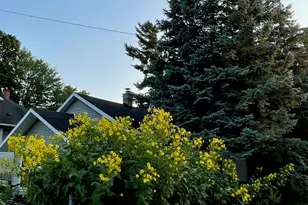 221 Nelson Ave, Kalamazoo, MI 49006 - Photo 27
