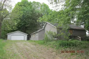 128 W Colfax St, Hastings, MI 49058 - Photo 1