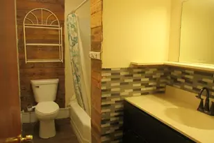 209 Spring St, Three Rivers, MI 49093 - Photo 11