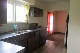 209 Spring St, Three Rivers, MI 49093 - Photo 3