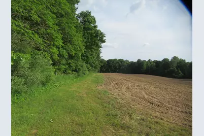 Williamsville Street, Cassopolis, MI 49031 - Photo 3