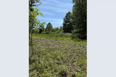 V/L 50th Street, Bangor, MI 49013 - Photo 1