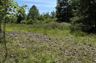 V/L 50th St, Bangor, MI 49013 - Photo 1