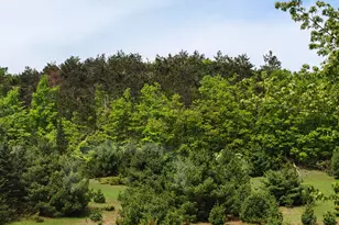 3012 Wildwood Harbor Rd, Boyne City, MI 49712 - Photo 55