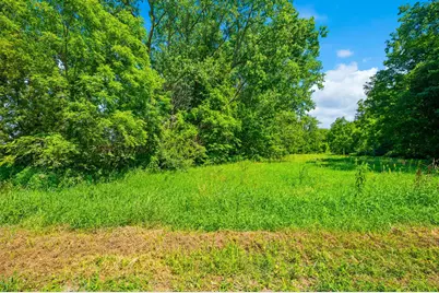 Gray Road #Parcel C, Baroda, MI 49101 - Photo 13
