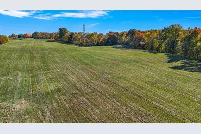 Gray Road #Parcel C, Baroda, MI 49101 - Photo 11