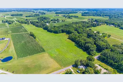 Gray Road #Parcel C, Baroda, MI 49101 - Photo 5