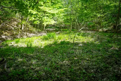 V/L 8th Avenue, South Haven, MI 49090 - Photo 33