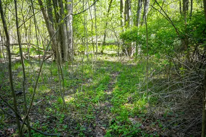 V/L 8th Avenue, South Haven, MI 49090 - Photo 27