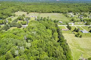 8775 Peck Lake Rd, Saranac, MI 48881 - Photo 15