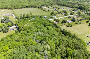 8775 Peck Lake Rd, Saranac, MI 48881 - Photo 17