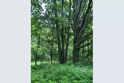 25500 U Drive S, Homer, MI 49245 - Photo 11