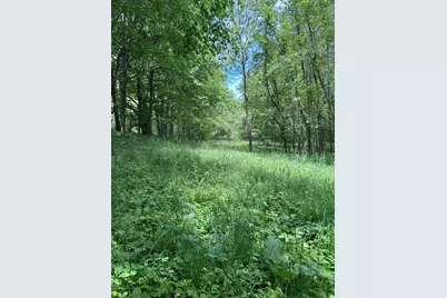 25500 U Drive S, Homer, MI 49245 - Photo 7