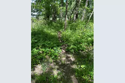 25500 U Drive S, Homer, MI 49245 - Photo 5