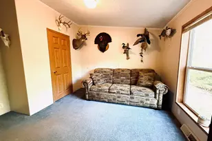 811 N Lavinia St, Ludington, MI 49431 - Photo 53
