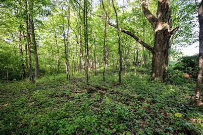 Onsted Highway, Onsted, MI 49265 - Photo 47