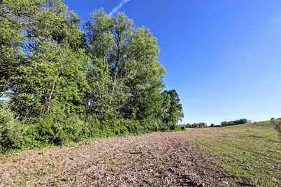 Onsted Highway, Onsted, MI 49265 - Photo 33