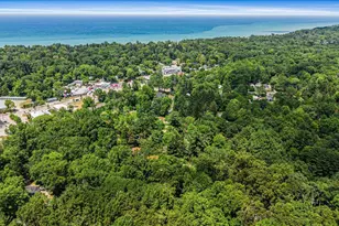 16253 1st Ln, Union Pier, MI 49129 - Photo 47