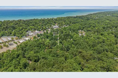 16253 1st Lane, Union Pier, MI 49129 - Photo 53