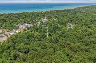 16253 1st Ln, Union Pier, MI 49129 - Photo 53