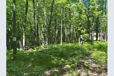 8297 Highland Trail #349, Canadian Lakes, MI 49346 - Photo 3