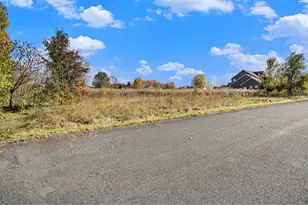 16151 Farmstone St, Schoolcraft, MI 49087 - Photo 1