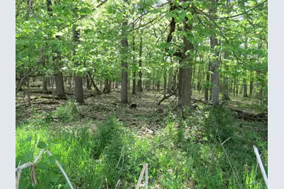 S Stoney Lake Road #B, Jackson, MI 49201 - Photo 19
