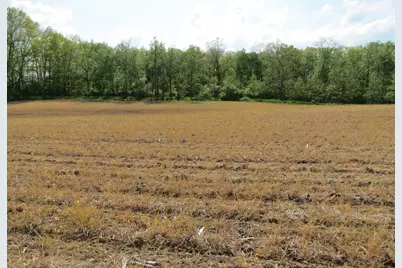 S Stoney Lake Road #B, Jackson, MI 49201 - Photo 15