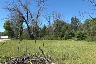 9457 S Michigan 37, Baldwin, MI 49304 - Photo 1