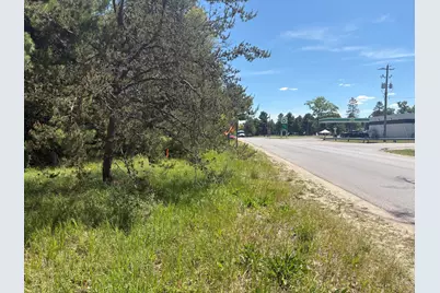 9457 S Michigan 37, Baldwin, MI 49304 - Photo 3