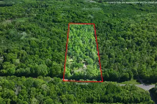 4869 E Free Soil Rd, Free Soil, MI 49411 - Photo 37