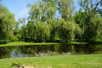 9830 Kennedy Road, Munith, MI 49259 - Photo 45