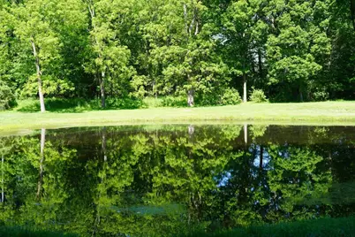 9830 Kennedy Road, Munith, MI 49259 - Photo 41