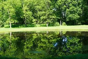 9830 Kennedy Rd, Munith, MI 49259 - Photo 41