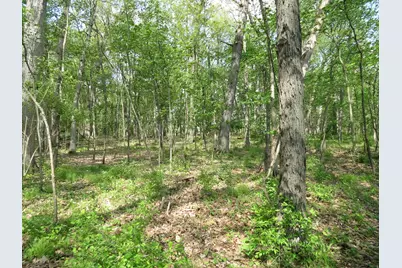 S Stoney Lake Road #A, Jackson, MI 49201 - Photo 19