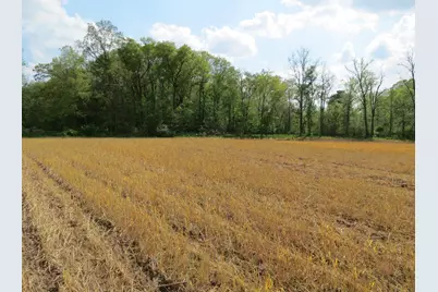 S Stoney Lake Road #A, Jackson, MI 49201 - Photo 27