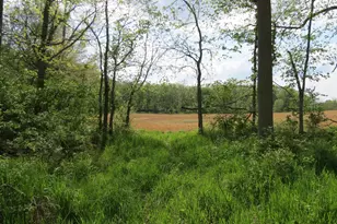 S Stoney Lake Rd, Jackson, MI 49201 - Photo 1