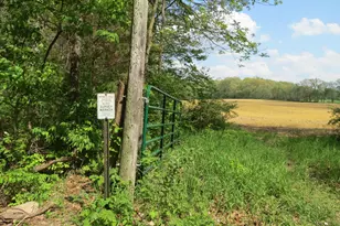 Giles Rd, Brooklyn, MI 49230 - Photo 1