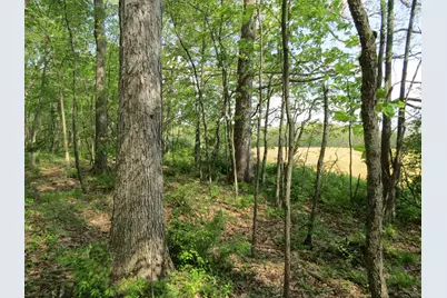 Giles Road #C, Brooklyn, MI 49230 - Photo 9