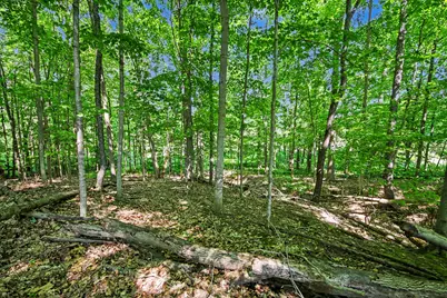 12994 24th Avenue, Marne, MI 49435 - Photo 3