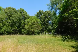 27134 Deerfield Ln, Edwardsburg, MI 49112 - Photo 37